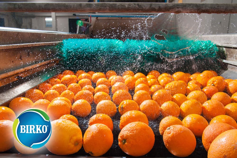 oranges being sanitized