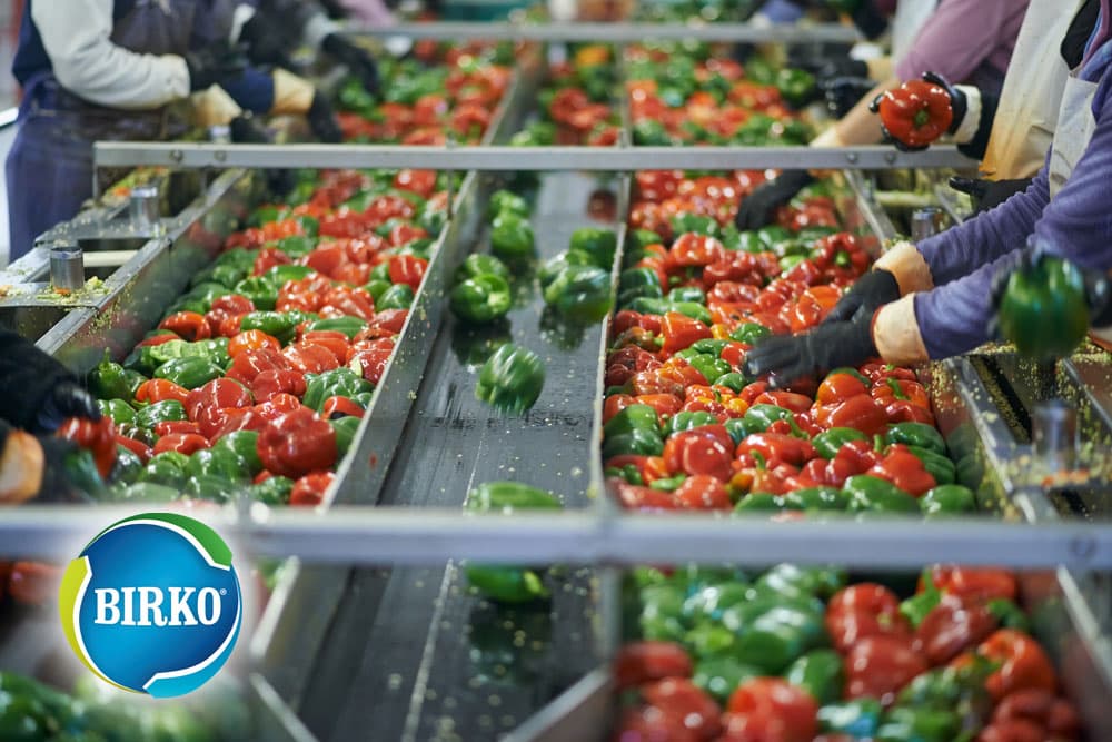 peppers on cleaning line